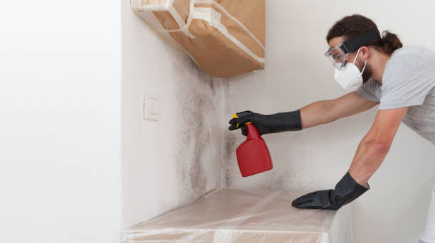 Professional Mold Removal technician working in McQueeney, TX