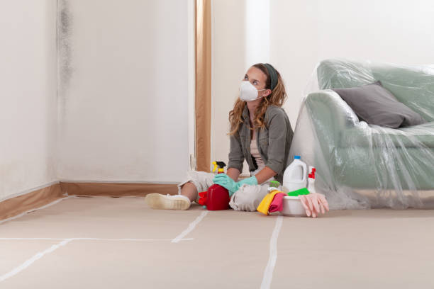Reliable Mold Removal contractor in McQueeney, TX by Mold Remediation HQ
